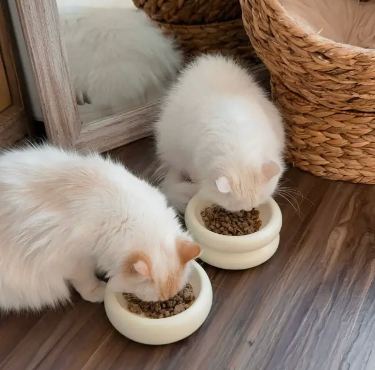 White Elevated Halo Pet Food Bowl