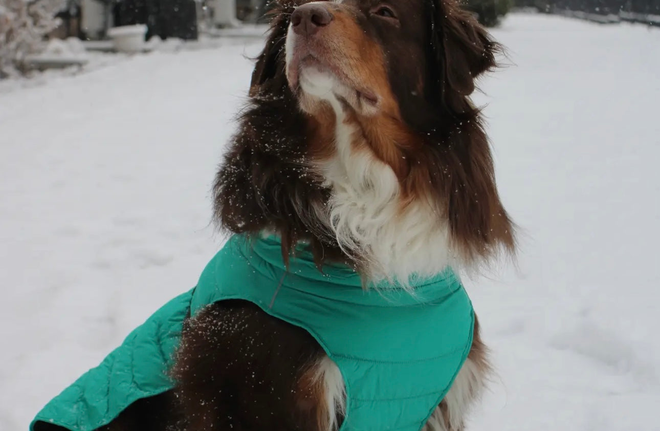 Alpine Extreme Weather Puffer Coat