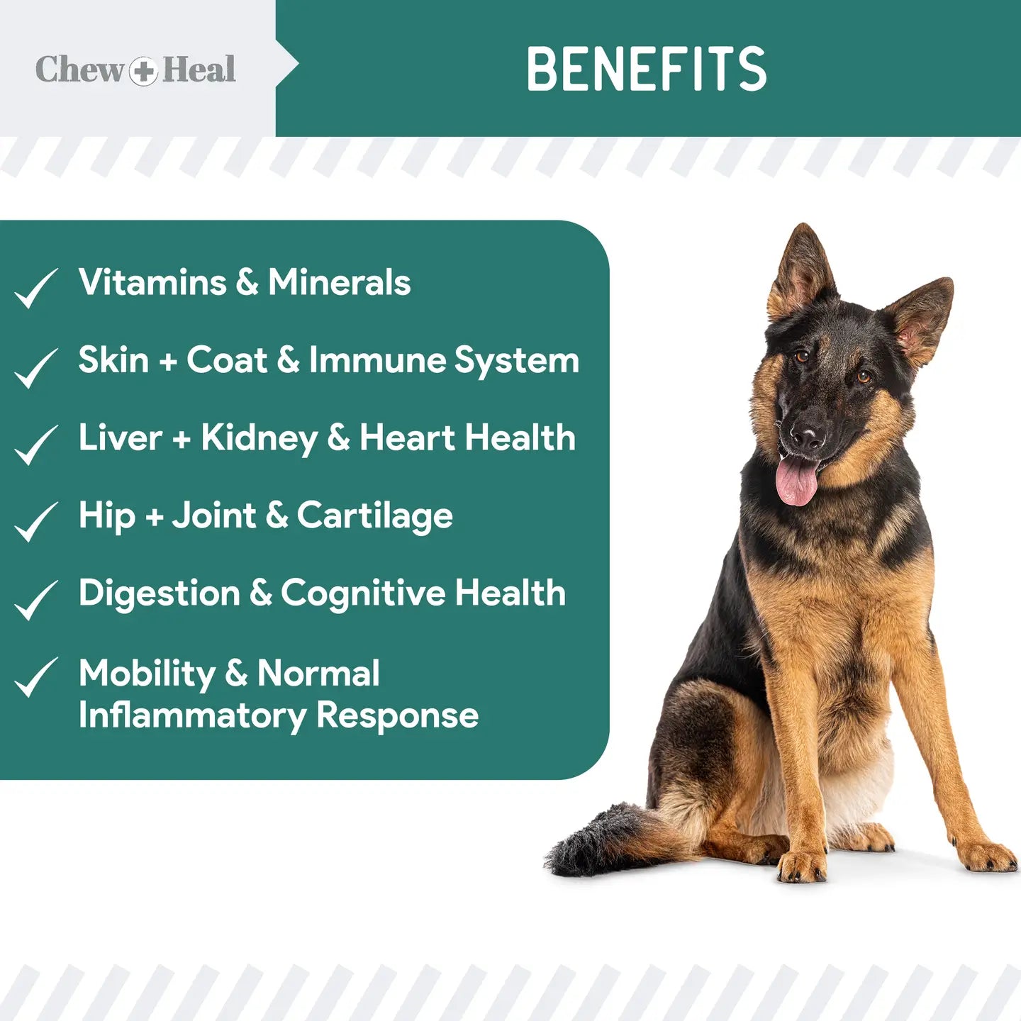 Essential 12-in-1 Multivitamin Soft Chews For Dogs
