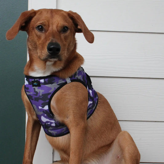 American River Purple Camo Dog Step In Harness