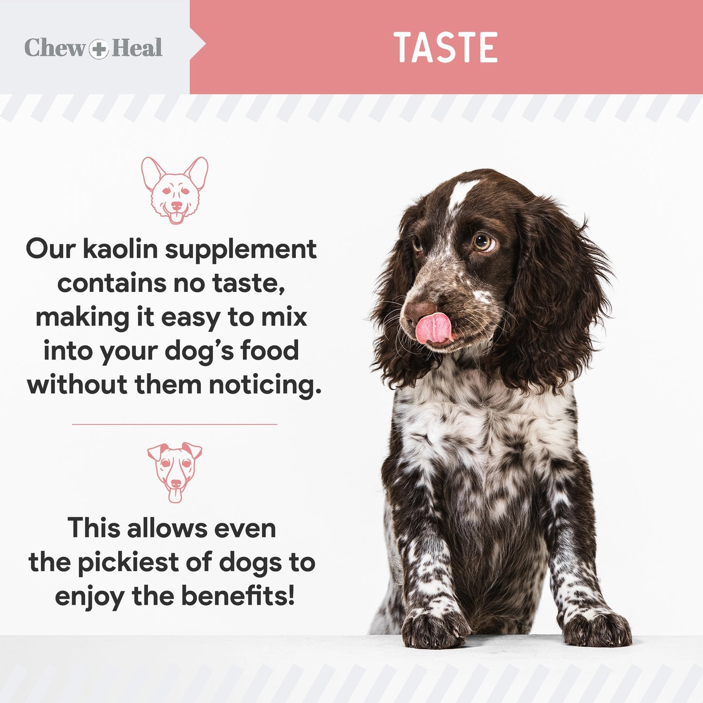 Stop the Diarrhea Anti Diarrhea For Dogs