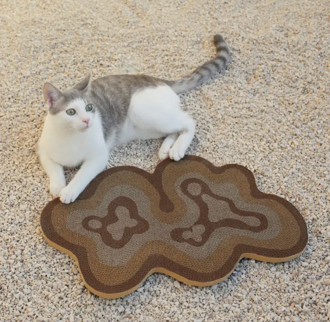 Bloom Cat Scratcher - Set of 3