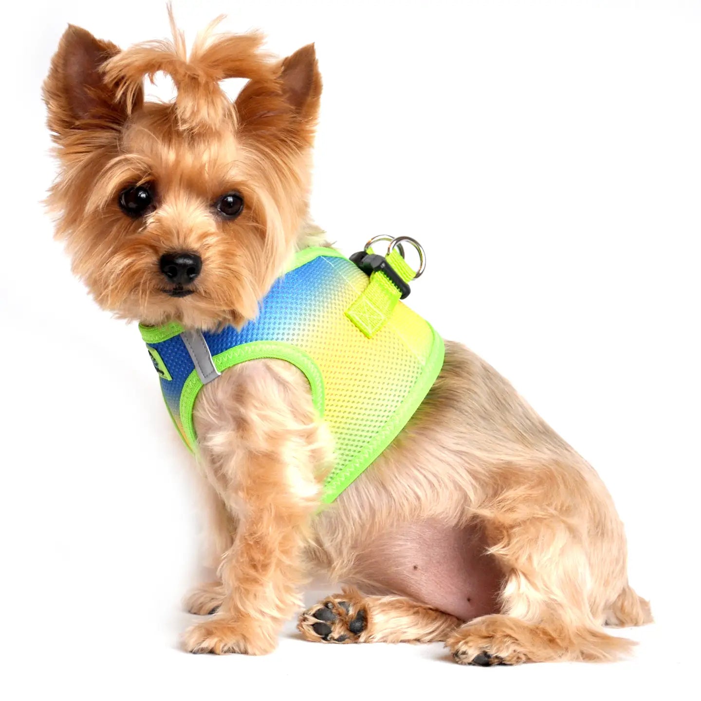 American River Blue, Yellow & Lime Ombré Step In Dog Harness