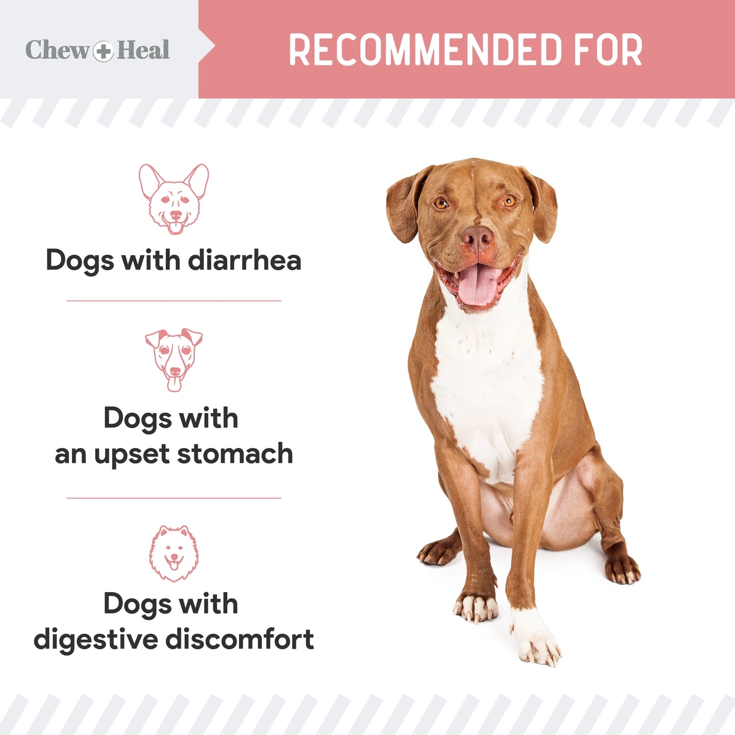 Stop the Diarrhea Anti Diarrhea For Dogs