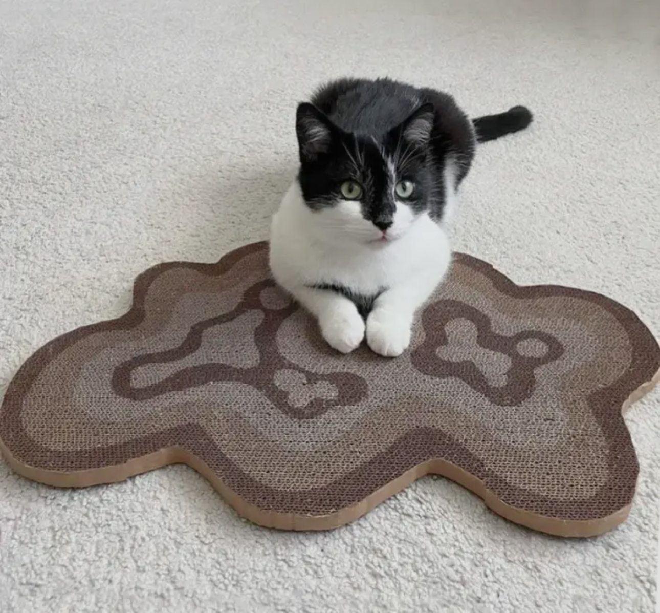 Bloom Cat Scratcher - Set of 3