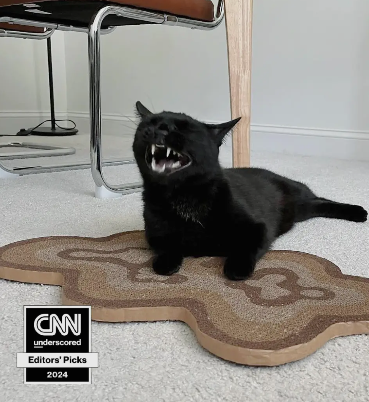 Bloom Cat Scratcher - Set of 3