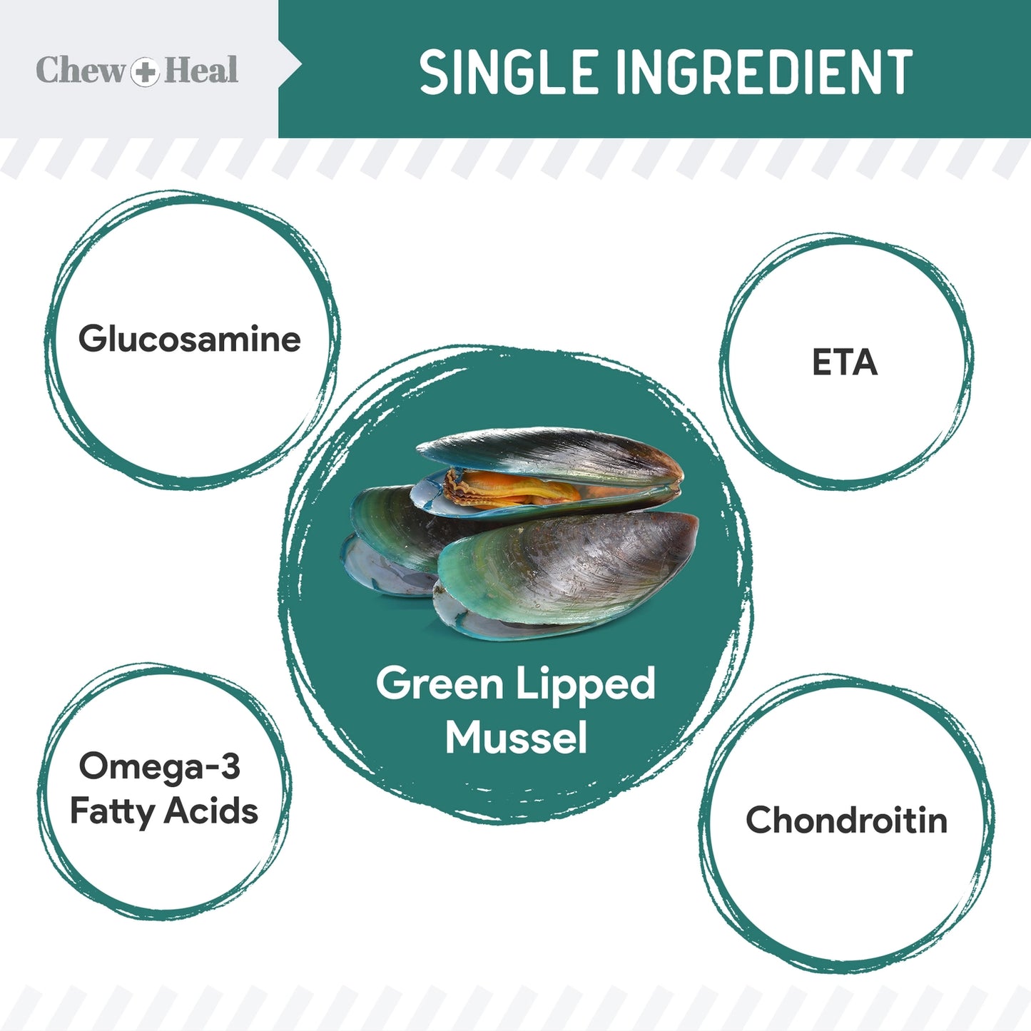 Green Lipped Mussel Powder For Hip & Joint