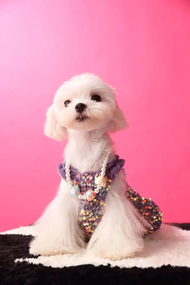 Luxe Purple Sequin Pet Dress