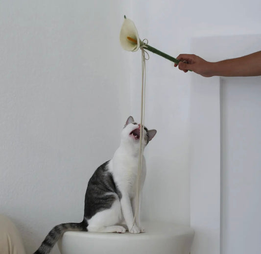 Flora Calla Lilly Cat Toy Wand