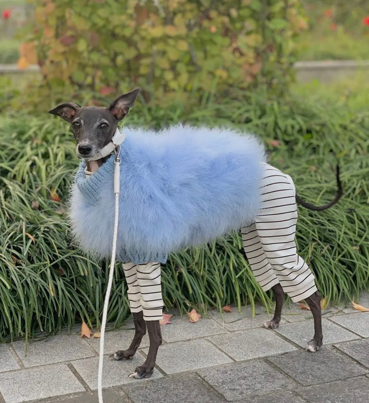 Haute Couture Luxury Feather Pet Sweater