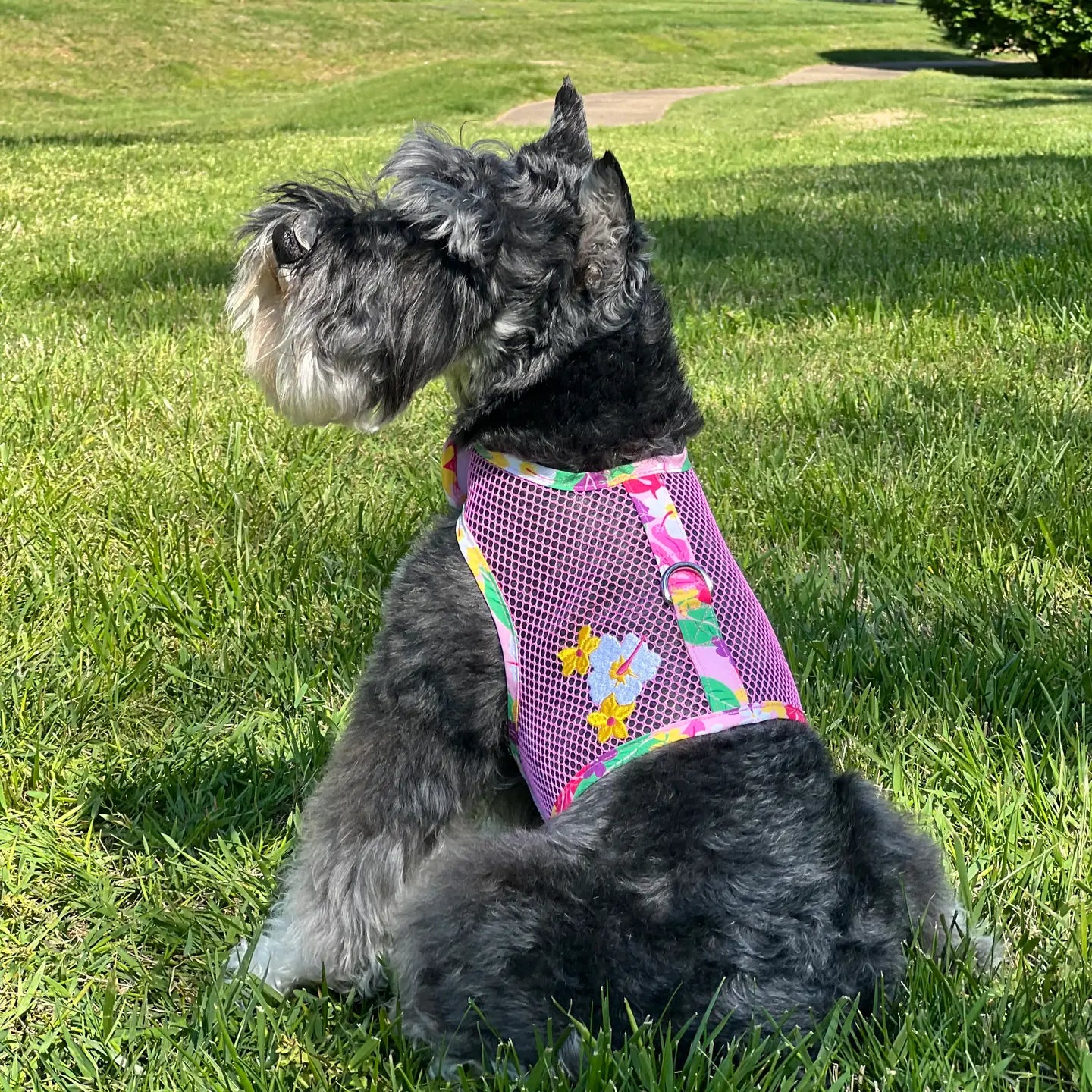 Cool Mesh Pink Hawaiian Floral Dog Harness With Leash