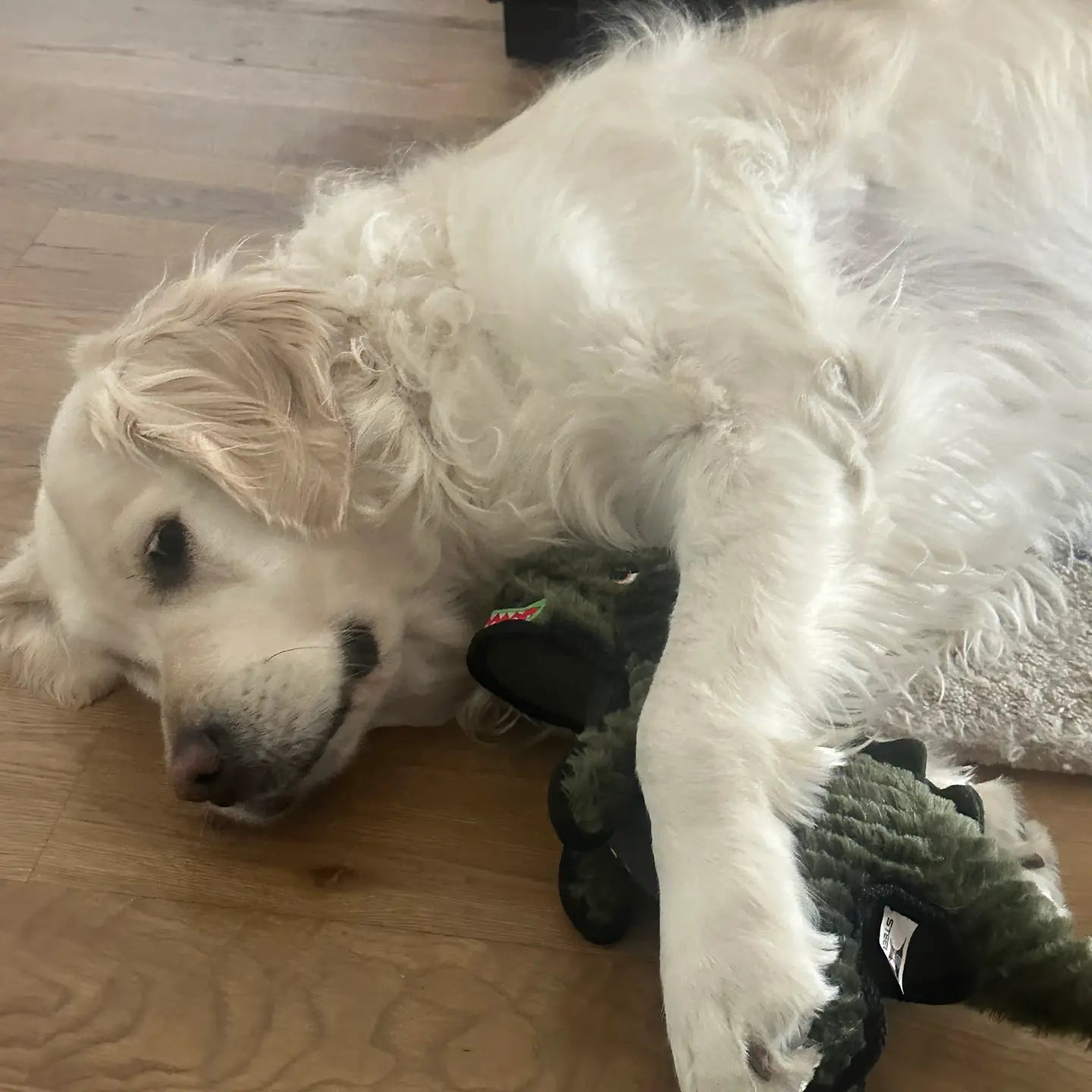 Ruffian Dino T-Rex Dog Toy