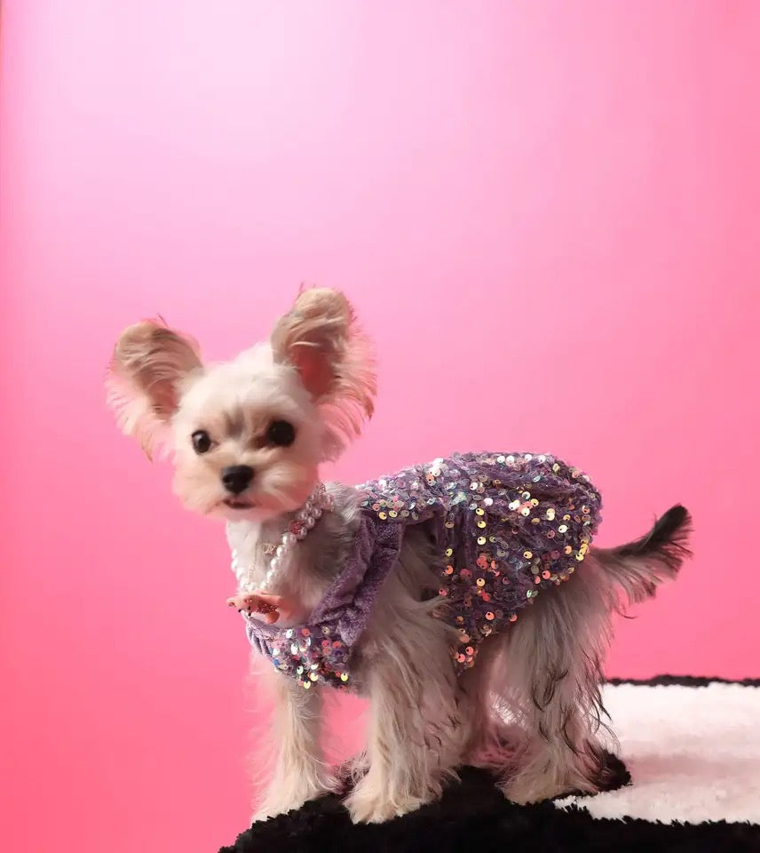 Luxe Purple Sequin Pet Dress