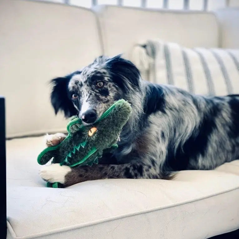 Ruffian Gator Dog Toy