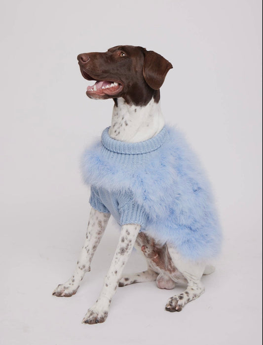 Fluffy Feather Pet Sweater - Christian Cowan x Maxbone