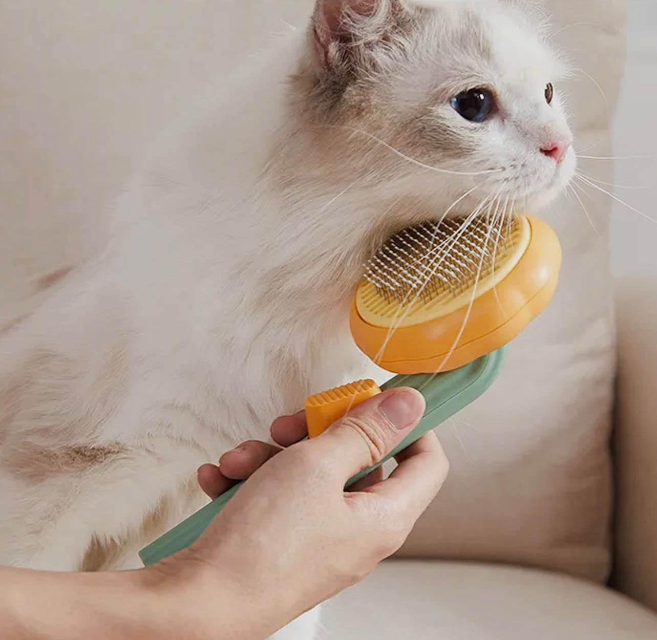 Self Cleaning Pet Hair Slicker Brush