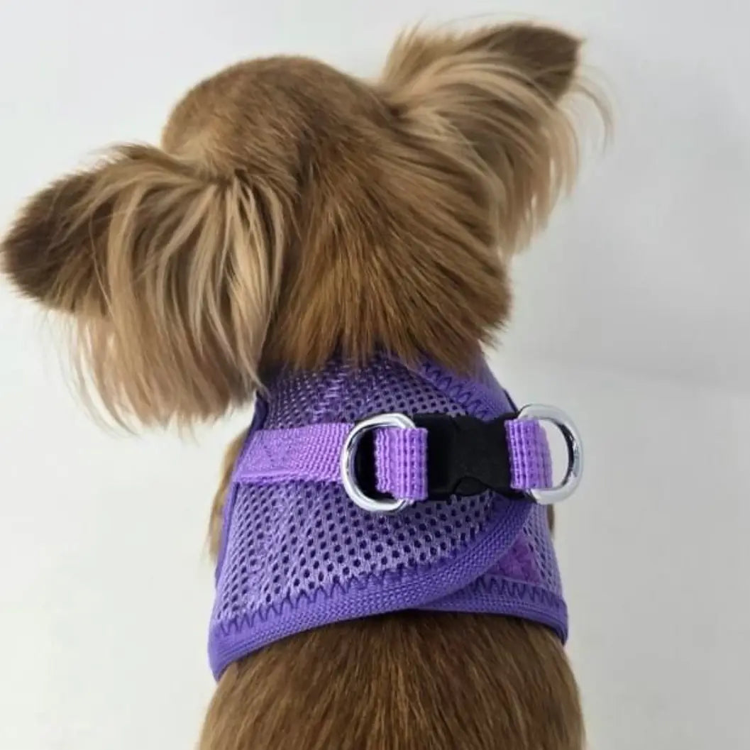 American River Paisley Purple Step In Dog Harness