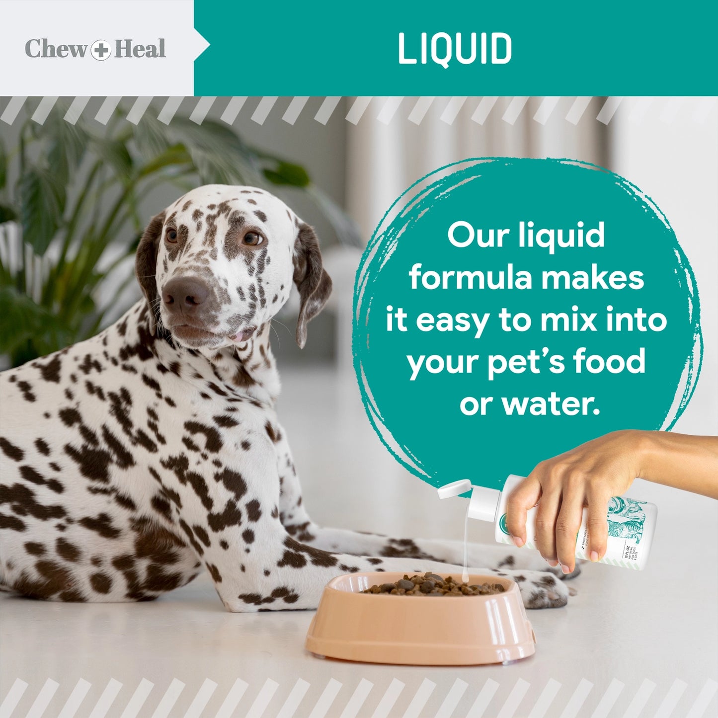 Stop the Worms Dewormer Liquid For Dogs and Cats