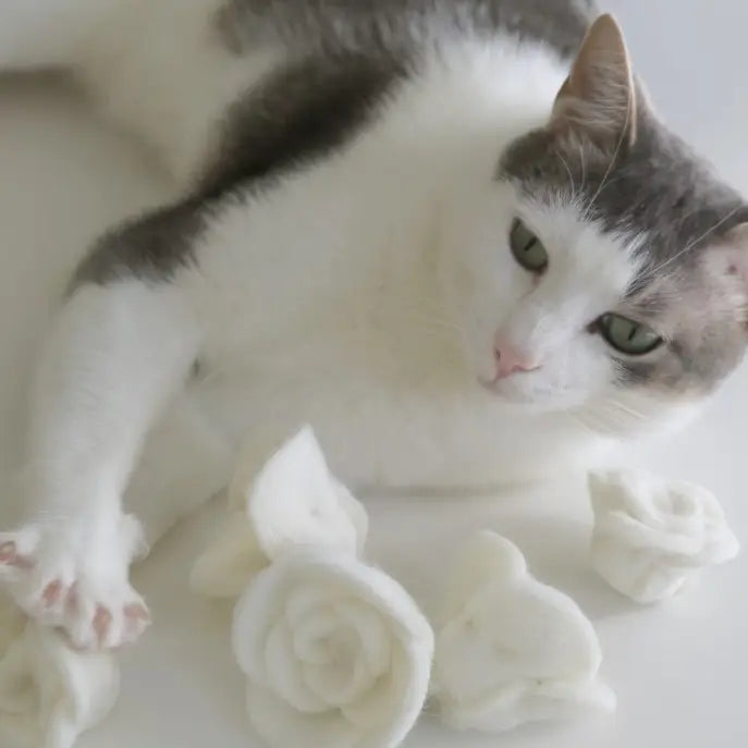 Flora Eternal Rose Toy Box