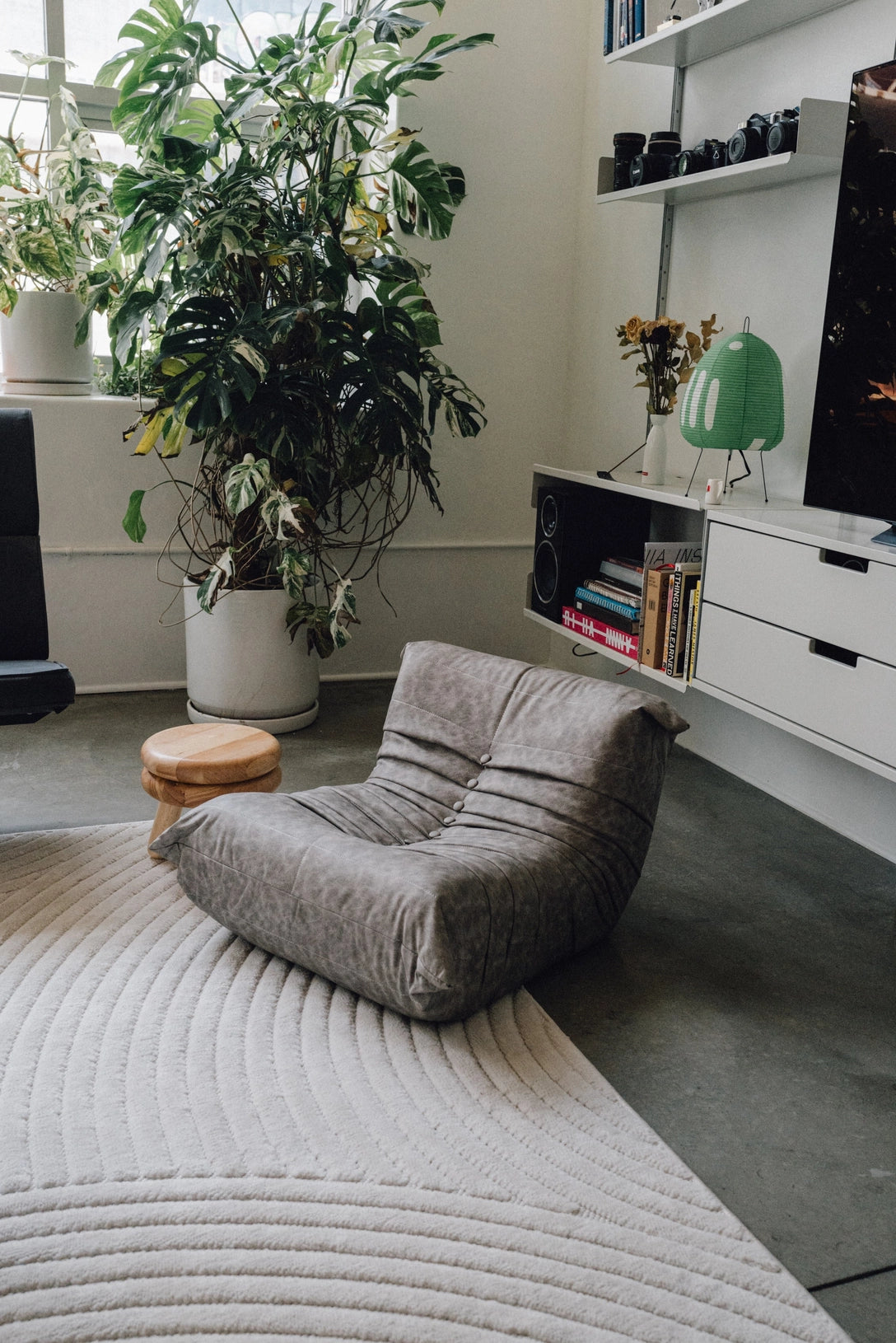 Futura Modern Luxury Pet Bed