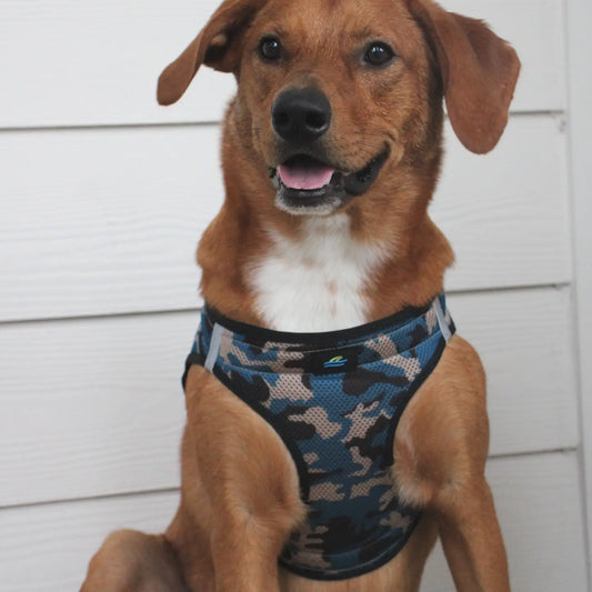 American River Blue Camo Dog Step In Harness