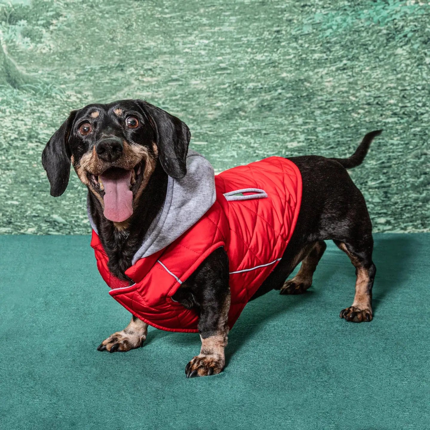 Weekender Quilted Hoodie Dog Sweatshirt