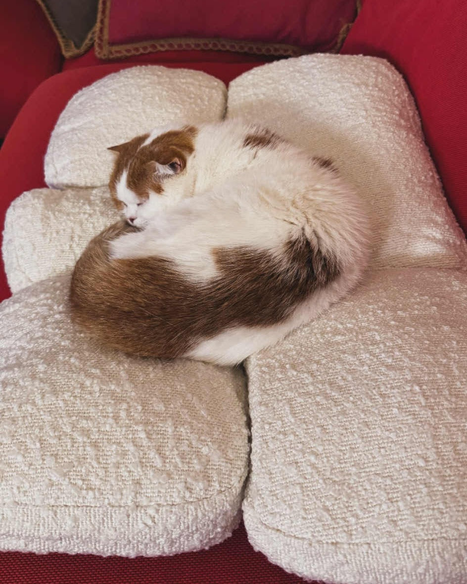 Boucle Pebble Pet Bed