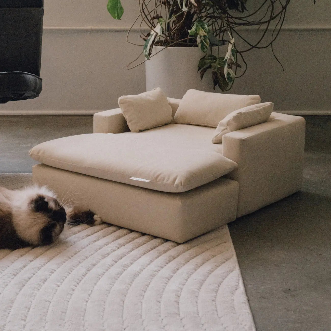 Luxe Modern Luxury Pet Bed