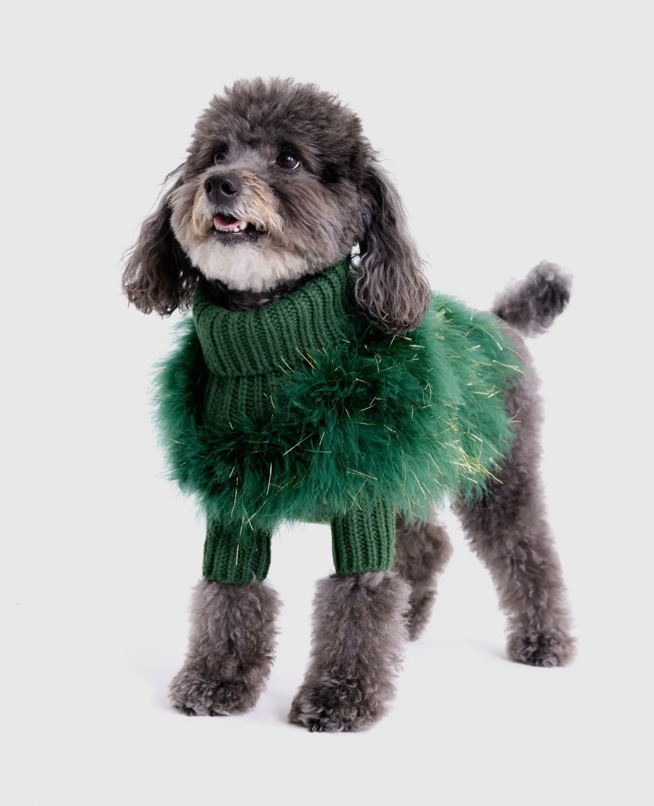 Holiday Glitz Fluffy Feather Pet Sweater - Christian Cowan x Maxbone