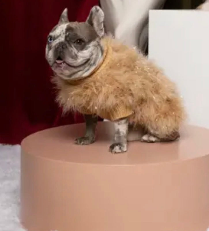 Glitz Fluffy Feather Pet Sweater - Christian Cowan x Maxbone