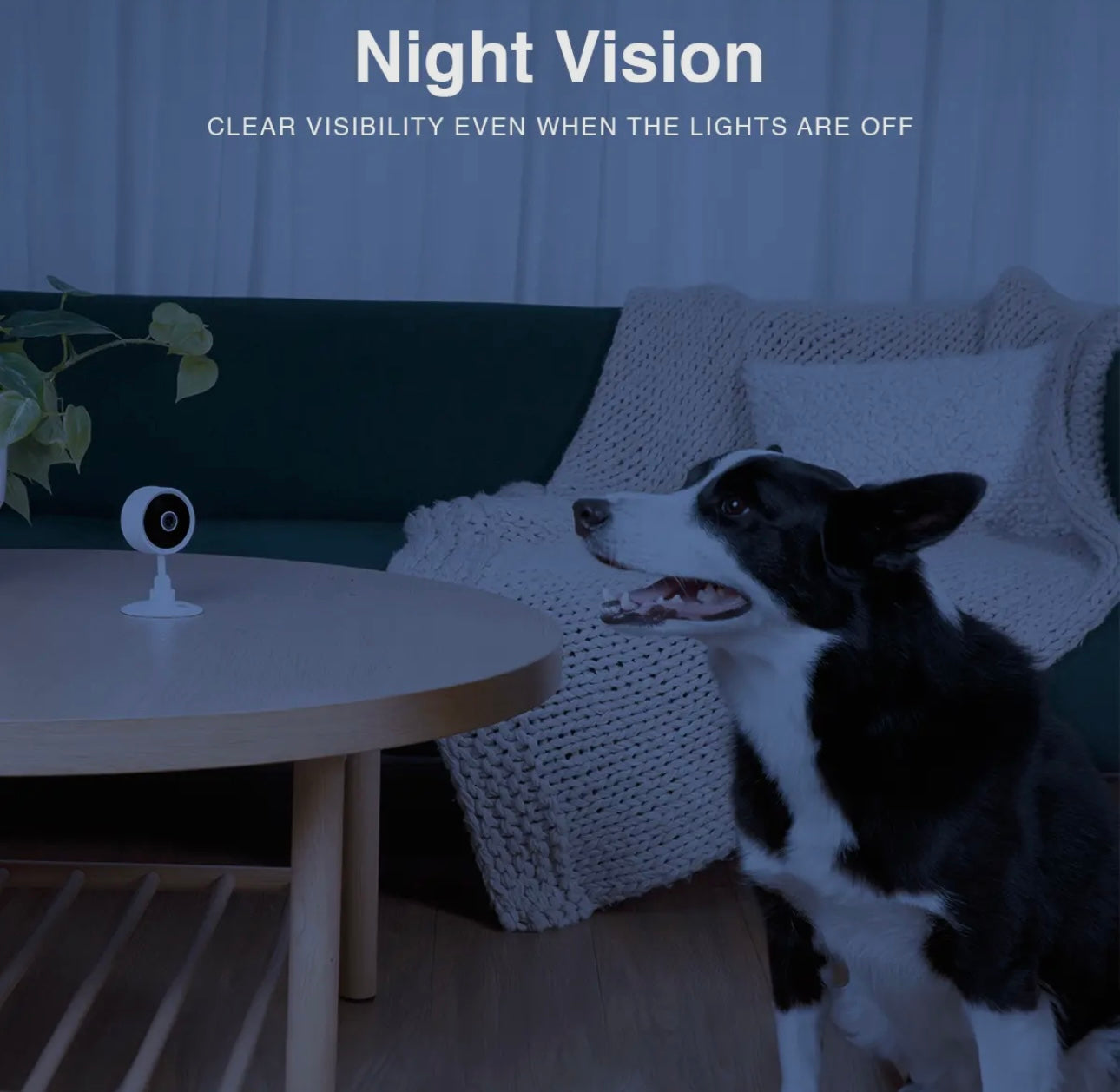 Purrsight Mini Smart Pet Camera