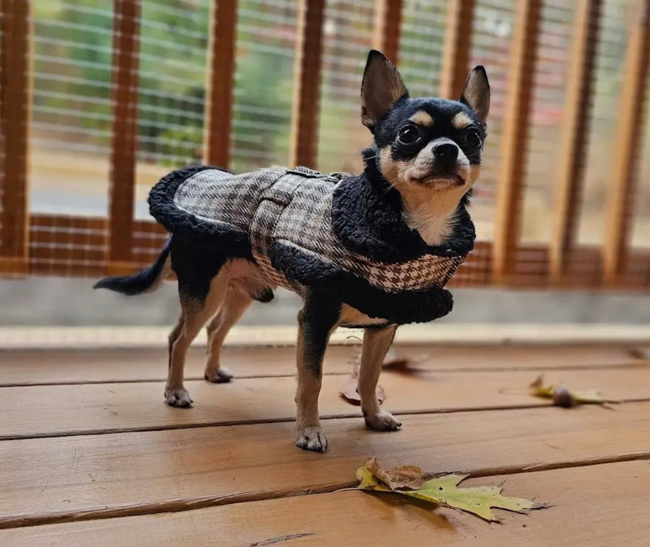 Brown and White Plaid Black Sherpa Lined Dog Harness Coat with Leash