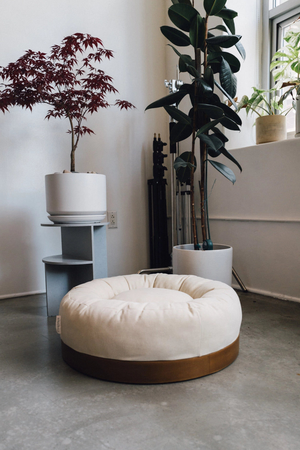 Oslo Modern Luxury Pet Bed