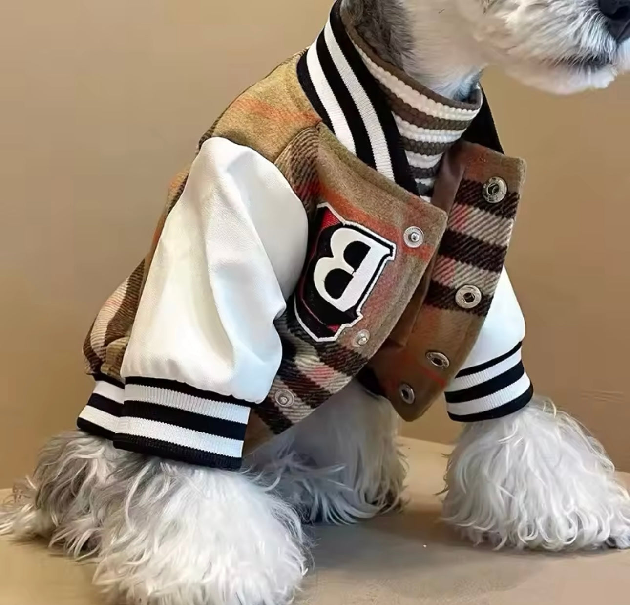 Designer Inspired Plaid Letterman Coat for Small Dogs and Cats