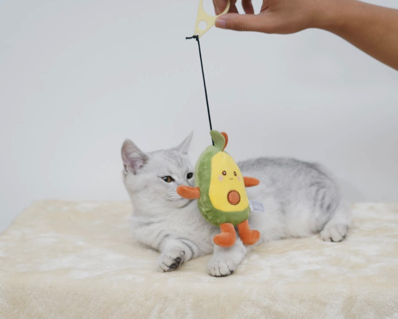 Avocado Crinkle Cat Toy with Catnip or Snack Pocket