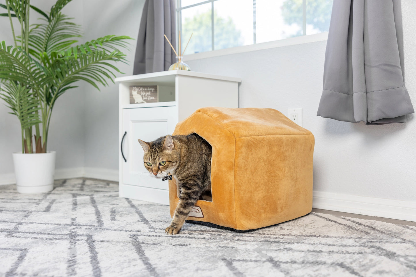 Velvet Beige Cat Indoor House