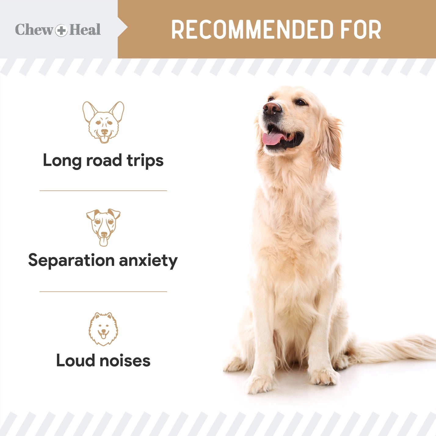 Anxiety + Stress Peanut Butter Dog Treats