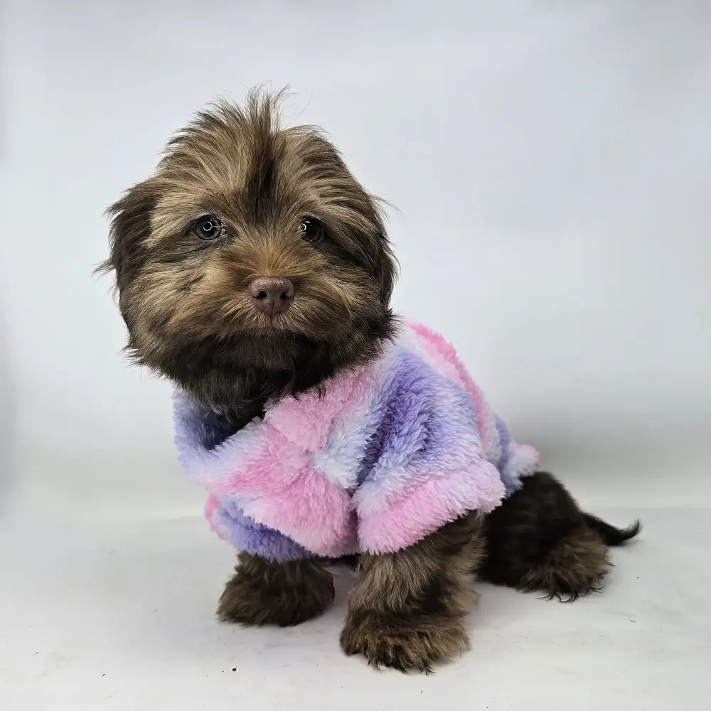 Tie Dye Pink & Purple Soft Plush Dog Pullover