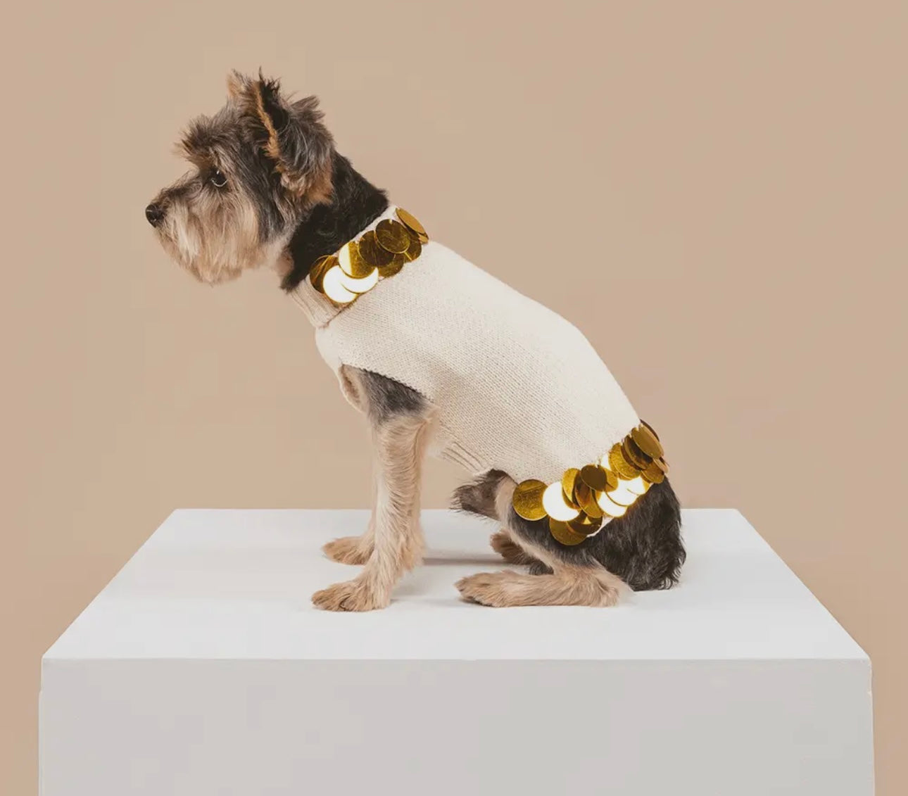 She Fancy Cream Dog and Cat Sweater with Handsewn Gold Paillettes - Small Dogs Only