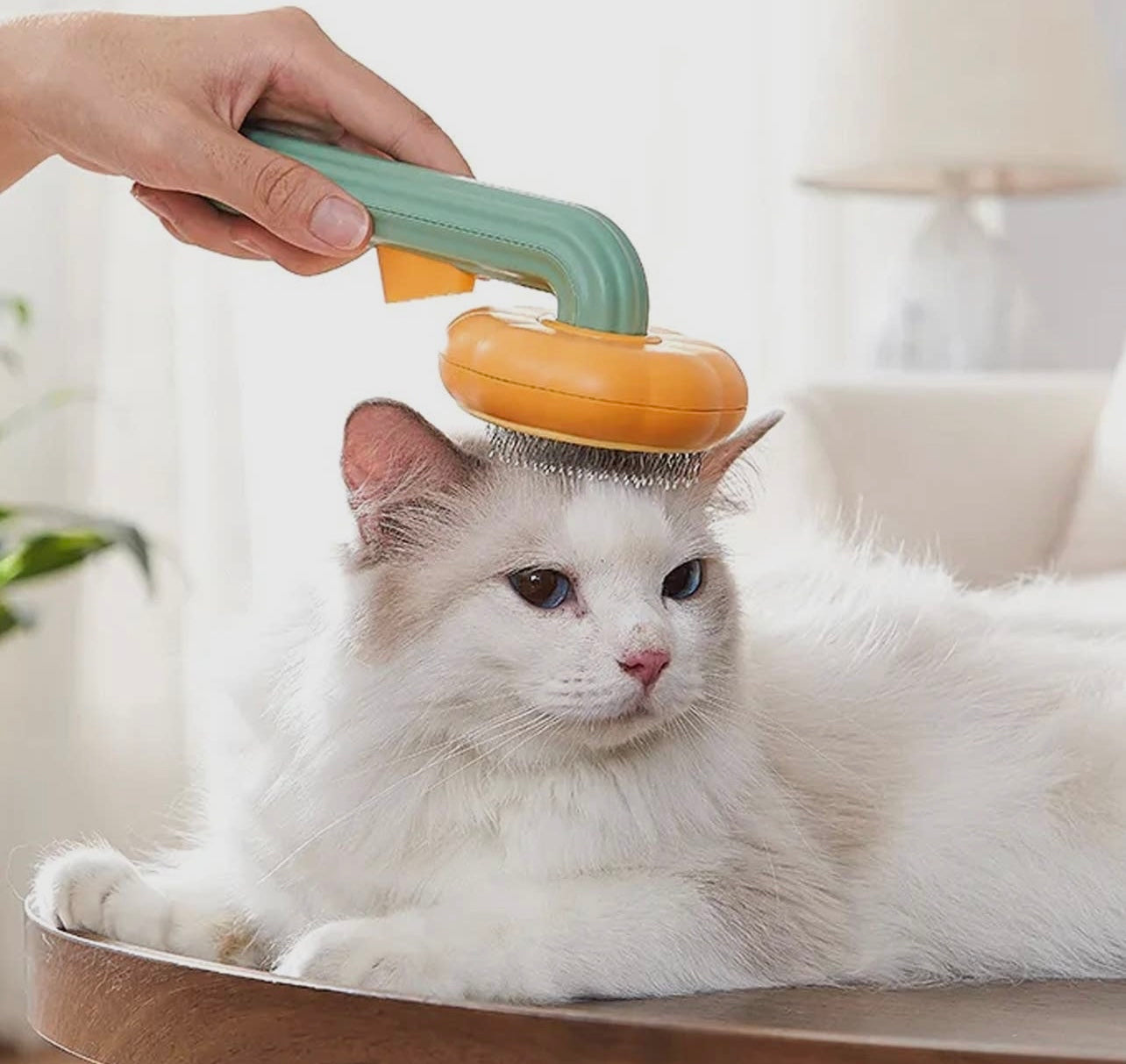 Self Cleaning Pet Hair Slicker Brush