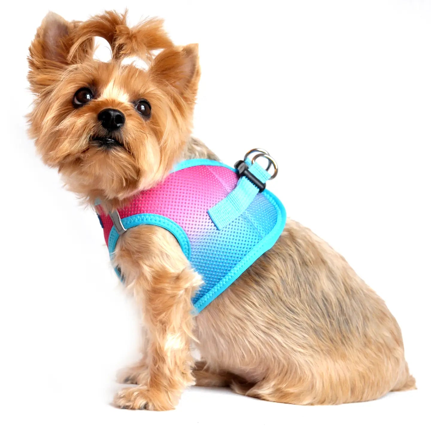 American River Sugar Plum Step In Dog Harness