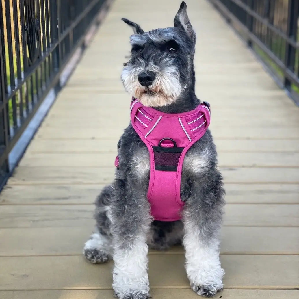 Hot Pink Venture Paw Dog Harness