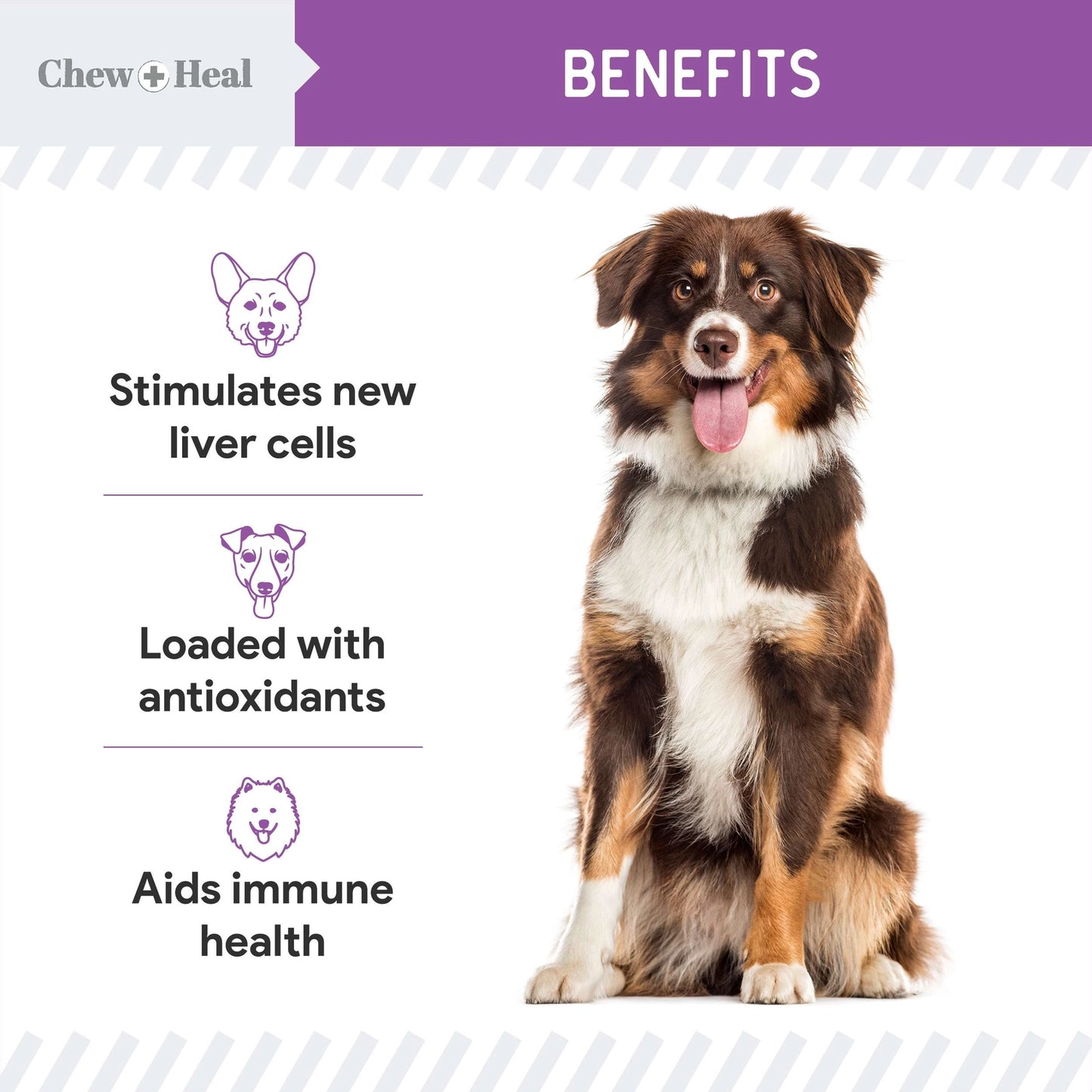 Milk Thistle Tincture with Moringa & Salmon Oil For Dogs
