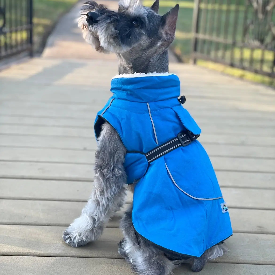 Alpine Tuf Terrain Dog Coat
