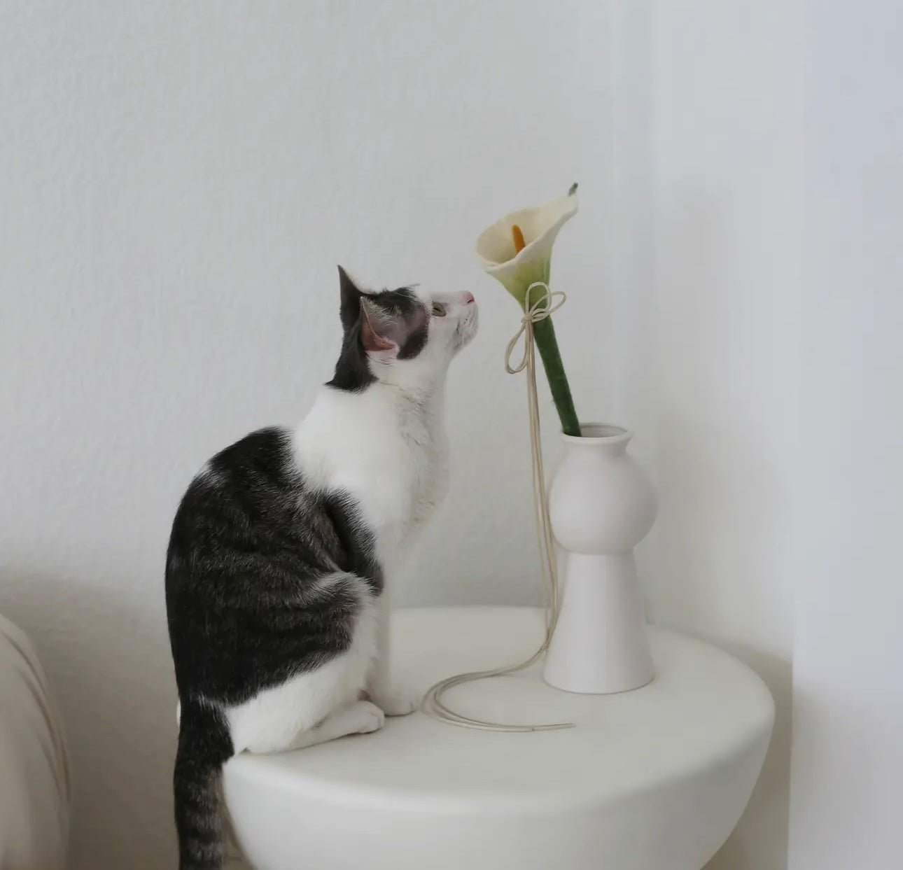 Flora Calla Lilly Cat Toy Wand