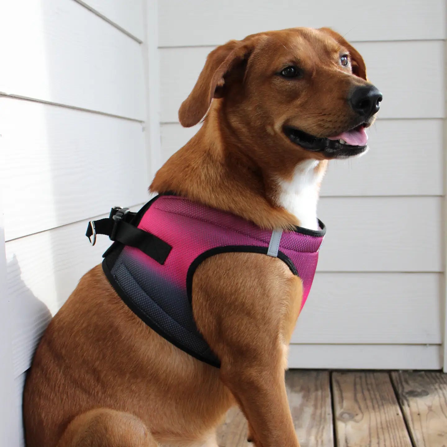 American River Sunset Pink Step In Dog Harness