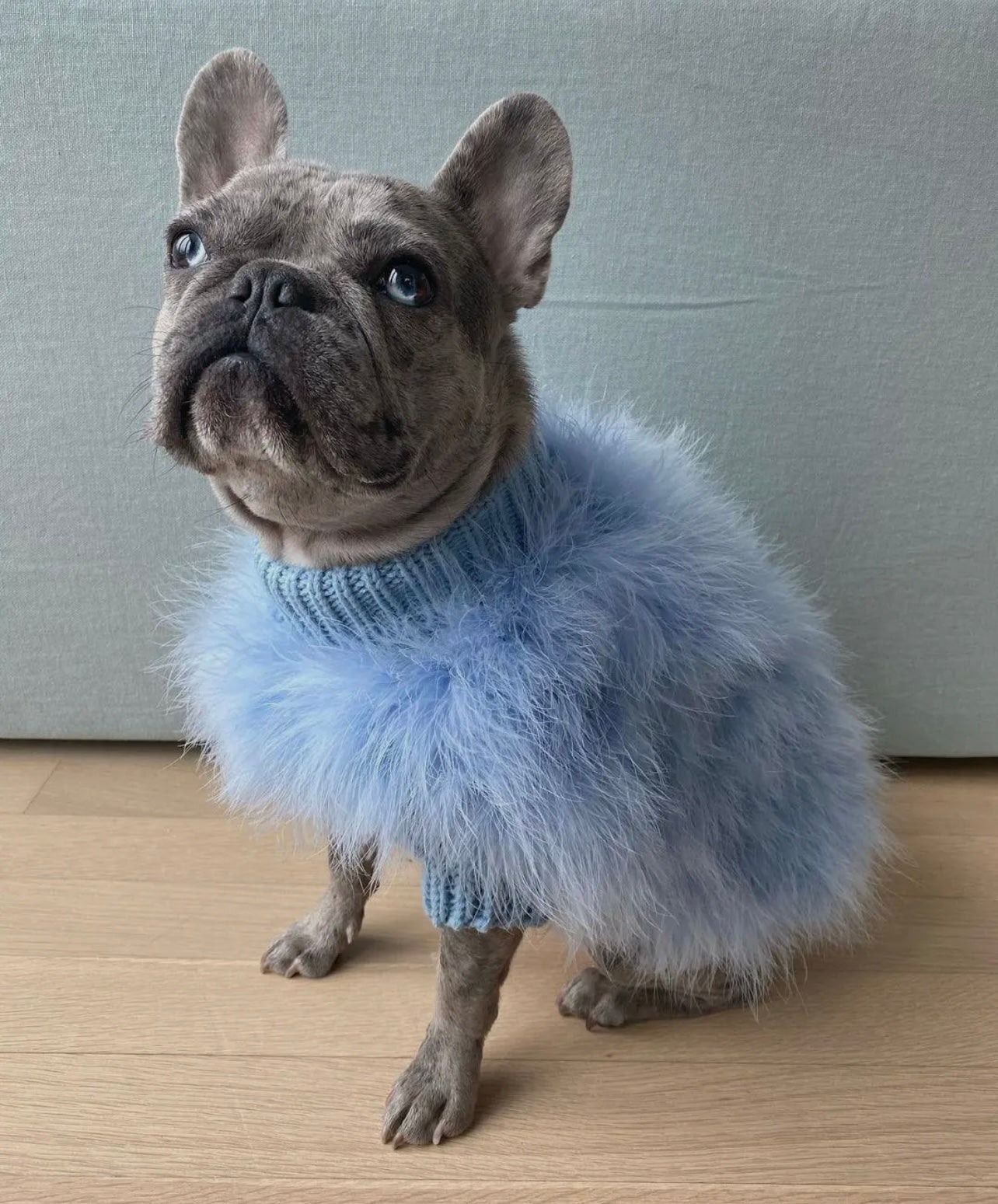 Haute Couture Luxury Feather Pet Sweater