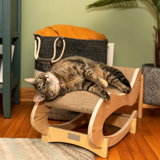 Cat Scratcher Rocking Chair Lounger