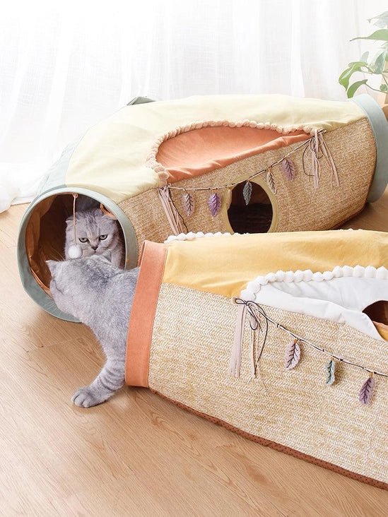 Cat Adventure Play Tube