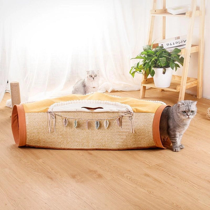 Cat Adventure Play Tube